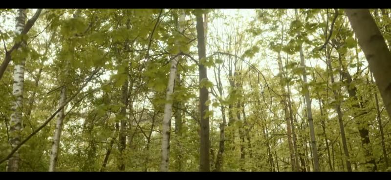 ПЧК #10 — «Храм Юмора», 00:09:08